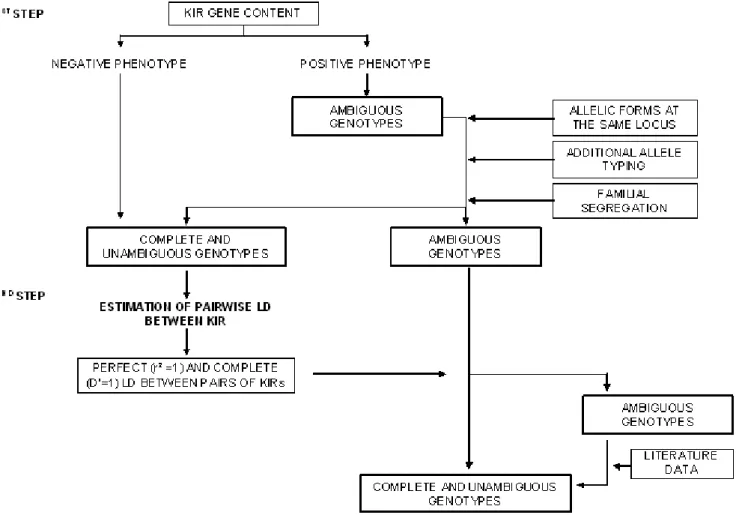 Figure 3. Genotypic reconstruction. KIR gene content analysis provides only binary phenotyping results for each KIR (absent or present), rather than complete genotypic information