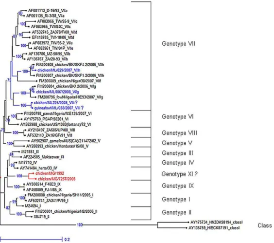 Fig. 1. Phylogenetic analysis of representative sublineages of NDV strains based on comparison of practical F gene sequence (positions 21–377 nt)