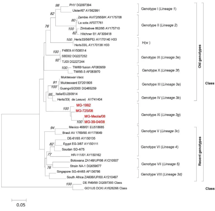 Figure 2. Phylogenetic tree (unrooted) of nucleotide sequences based on a 374-nt sequence (position 47–421 nt) of the F gene.