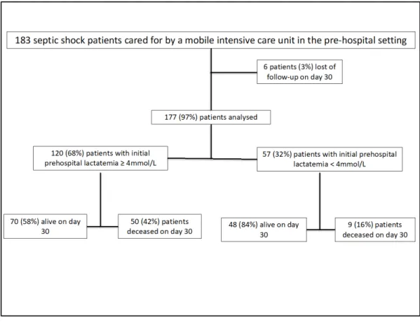 Figure 1.  Flow chart.