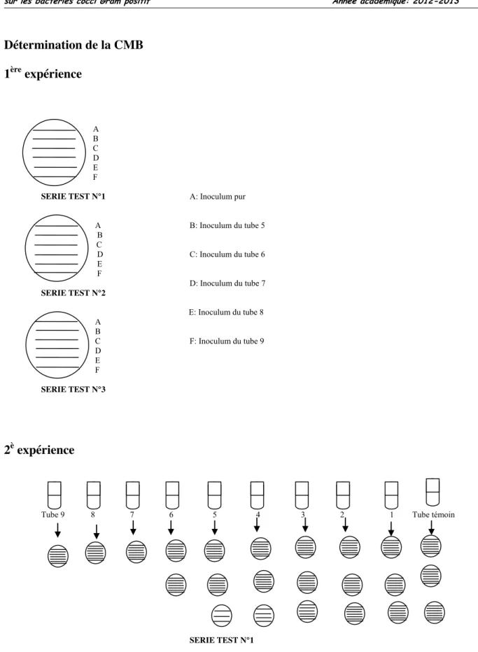 Figure 8: Méthode de détermination de la CMI et de la CMB 