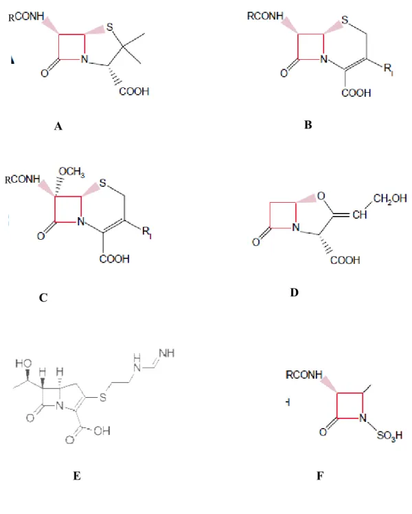 Figure 1 : Structures de quelques β-lactamines                        (Bryskier, 1999) 