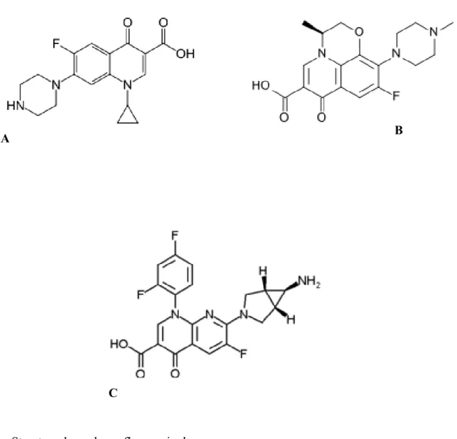 Figure 3 : Structure de quelques fluoroquinolones                     (Ball, 2000) 