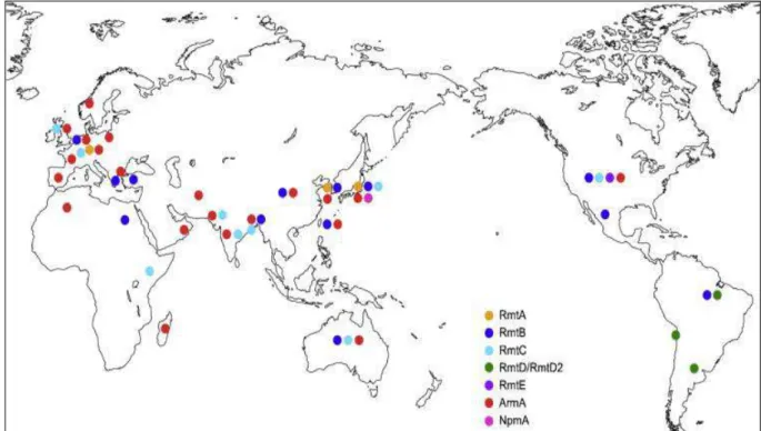Figure 8 : Distribution mondiale des gènes de méthylation                      (Wachino et Arakawa, 2012) 