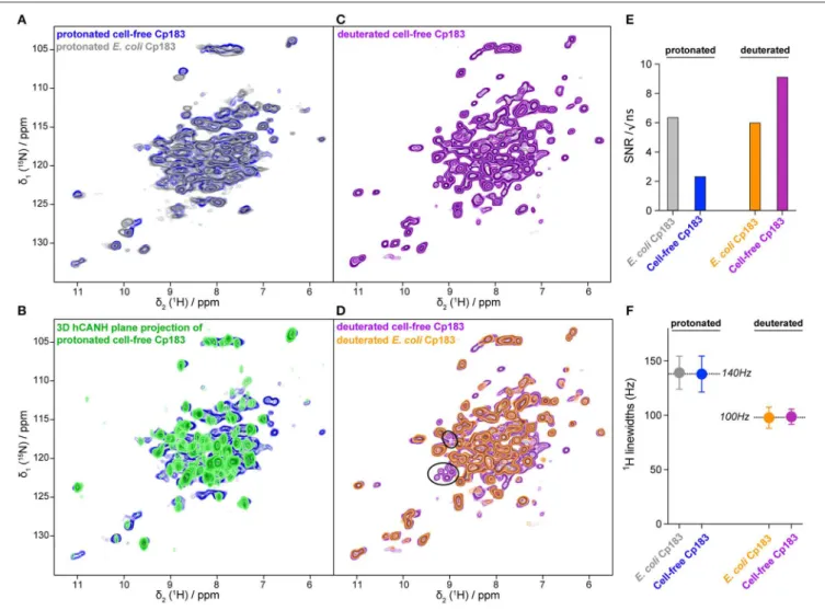 FIGURE 3 | Comparisons of NMR spectra between the capsids from CFPS and capsids purified from E