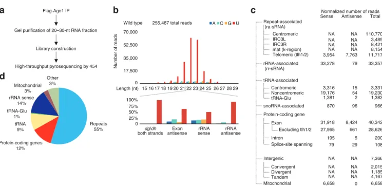 Figure 1: Profiling of Ago1-associated small RNAs from wild-type cells