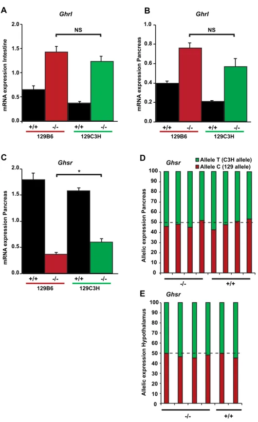 Figure 7.  Expression of Ghrelin and Ghrelin receptor genes. Ghrelin (Ghrl) and Ghrelin receptor (Ghsr)  levels were determined by RT-qPCR in F1 wild-type 129B6 and 129C3H mice (n  =   4 and n  =   4,  respectively)  and F1 Hnf1a −/−  129B6 and 129C3H mice