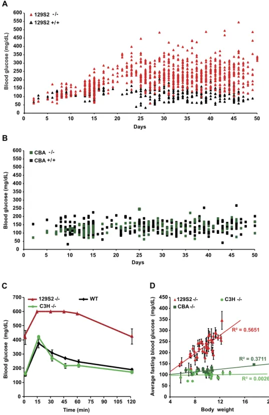 Figure 1.  Blood glucose in Hnf1a sensitive and resistant mutant strains. (A) Blood glucose level in 129S2  Hnf1a −/−  (129S2 −/− , red triangles, n  =  151) mice and wild-type control (black triangles, n =  54)