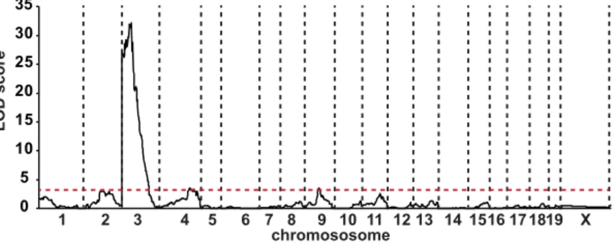 Figure 5.  Identification of a major QTL for fasting blood glucose level on chromosome 3