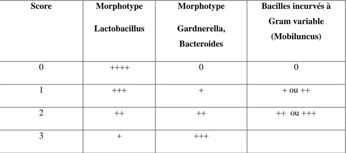 Tableau III :  Evaluation des flores vaginales à partir de l’examen microscopique