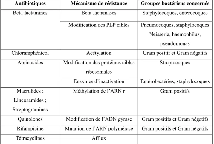 Tableau V : Principaux mécanismes connus de résistance aux antibiotiques [25] 