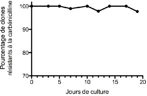 Figure 5. Stabilité du plasmide chez Y. pestis CO92(pLux) in vitro par passage successifs  