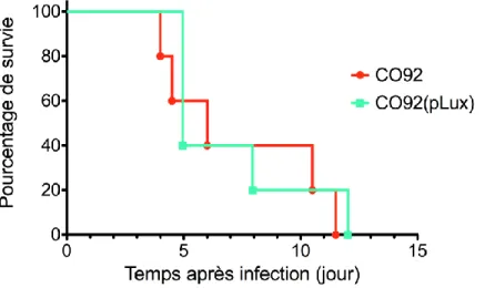 Figure 10. Comparaison des courbes de survie de Y. pestis CO92 et CO92(pLux) 