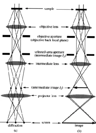 Fig. 2.8:  Ray  diagrams  of TEM  (a) electron  diffraction mode  and  (b) imaging  mode