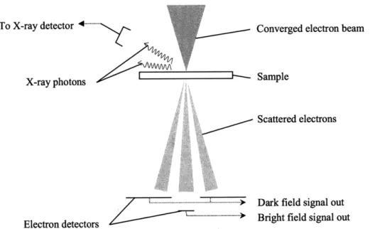 Fig. 2.10:  Diagram of basic  STEM imaging  modes. Note  that the dark field  signal does not include the portion of the beam scattered at low angles.