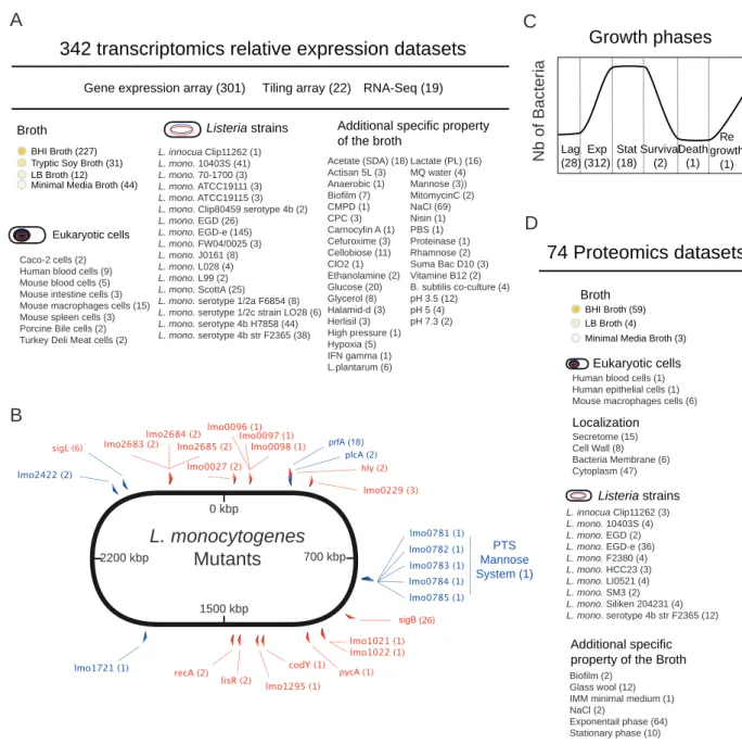 FIG 2 Transcriptomic and proteomic data sets available in the Listeriomics database. (A) Summary of all the transcriptomic data sets available at the Listeriomics website