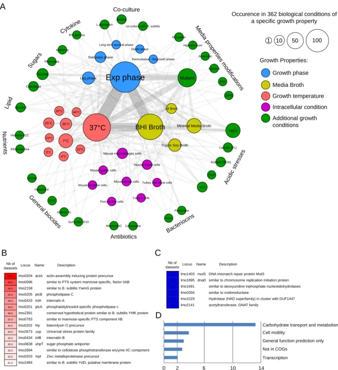FIG 4 Meta-analysis of the Listeriomics transcriptomic data sets. (A) Relational network built on the 362 transcriptomic biological conditions found in the Listeriomics database