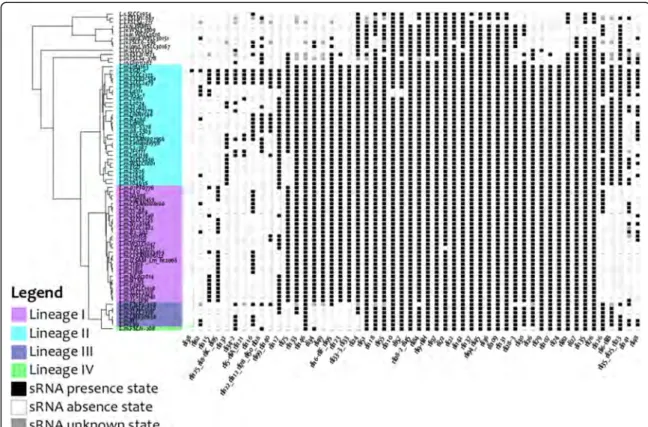 Fig. 3 Phylogenetic distribution of L. monocytogenes EGD-e sRNAs in Listeria genomes. The figure represents the distribution of 52 variable L.monocytogenes EGD-e sRNA loci across 79 Listeria genomes