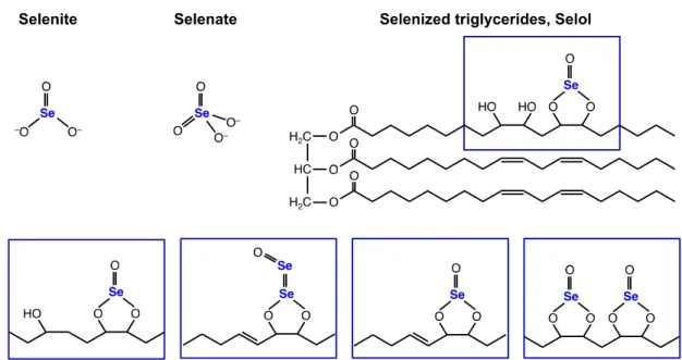 Figure 2. Chemical structures of selenite, selenate and Selol. In Selol, a complex mixture of at least 11  selenitriglyceride compounds have been characterized by high performance liquid  chromatography-electrospray ionization tandem mass spectrometry (HLP