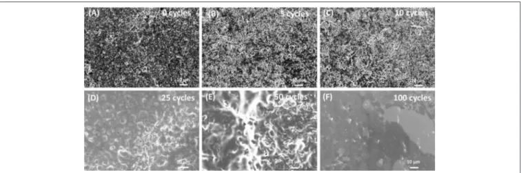 FIGURE 2 | SEM images of electrodeposited PMMA-PEG on porous LNMO by CV at (A) 0 cycle; (B) 5 cycles; (C) 10 cycles; (D) 25 cycles; (E) 50 cycles; (F) 100 cycles.