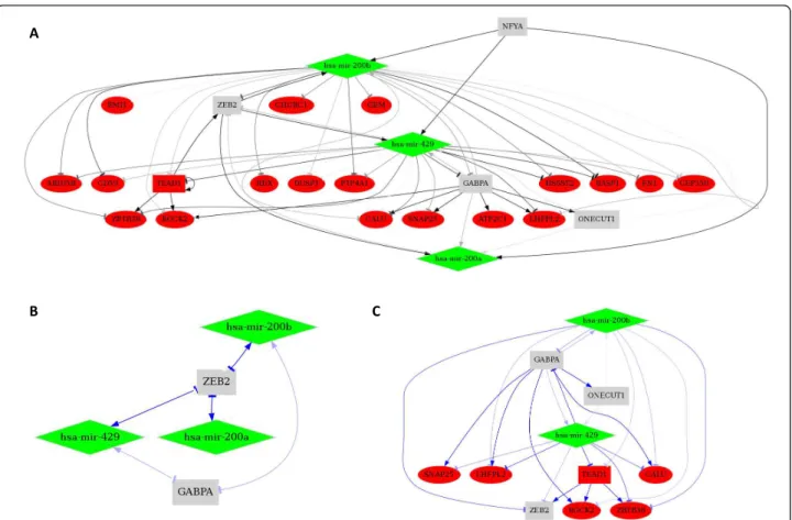 Figure 6 Regulatory networks in EMT generated by the Quick Network interface. (A) Networks were generated using the down-regulated miR-200 family (diamonds in green), the four TFs (squares in gray) predicted to regulate these miRNAs and the twenty predicte