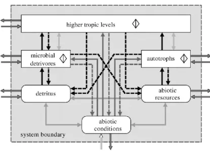 Figure 17 .  An ecosystem consists of six types of interactions among three biotic and three  abiotic compartments