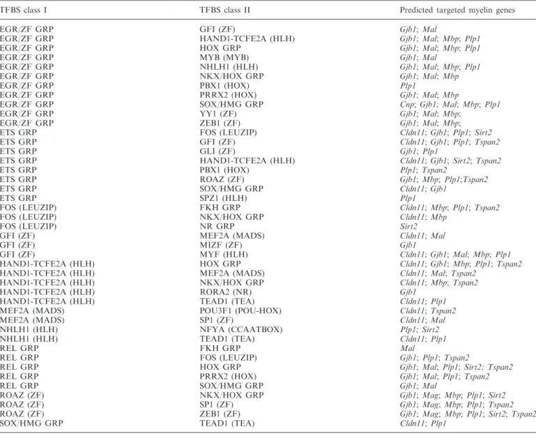 Table 1. Predicted myelin gene TRN