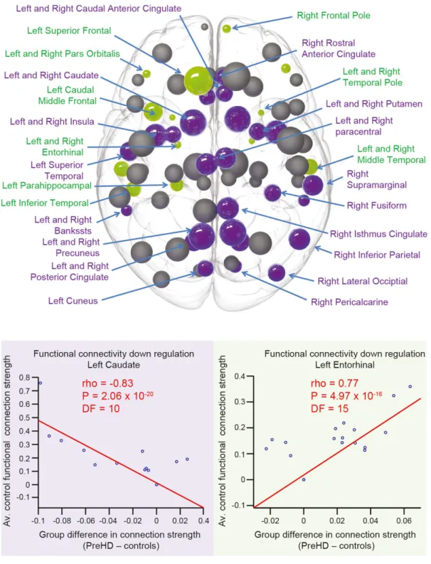 Figure 4. Functional regulation analysis. For each brain region in the average control network, correlations were performed against the strength of functional connection to all other 75 regions in the network (where a functional connection was present) and