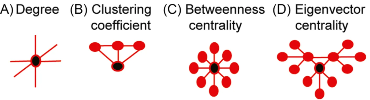 Figure 2. Schematic description of graph theory metrics. (A) Degree is the number of connections a brain region has