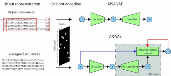 Fig 1. Schematic representation of the input representation and VAE models used in the study
