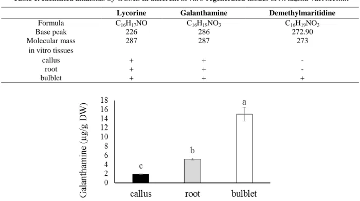 Table 1. Identified alkaloids by GCMS in different in vitro regenerated tissues of N. tazetta var