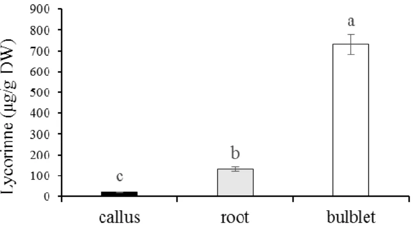Fig. 4. Lycorine (µg/g DW) contents of different tissues of N. tazetta var. Meskin. The data represent the  average of three replications with standard error