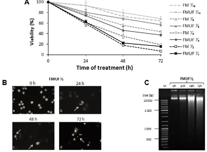 Figure 6: Cytotoxicity of P. freudenreichii-fermented milk and of P. freudenreichii-fermented milk ultrafiltrate