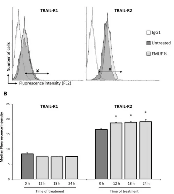 Figure 2: FMUF treatment increases cell surface expression of death receptor TRAIL-R2