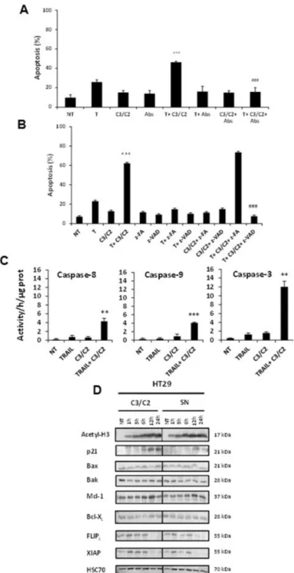 Figure 5: Implication of both extrinsic and intrinsic pathways in synergistic effect.  HT29 cells were left untreated (NT)  or treated for 24 h with TRAIL (T, 50 ng/ml), C3/C2 (30/15 mM) or combination