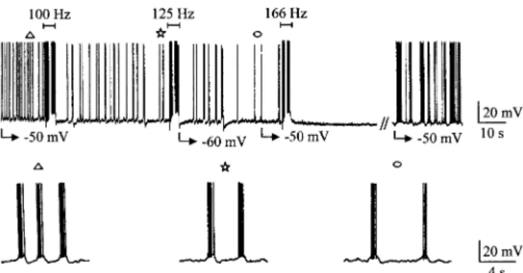FIG . 3. Increase of threshold potential for Na ⫹ -dependent spikes during HFS-induced silence