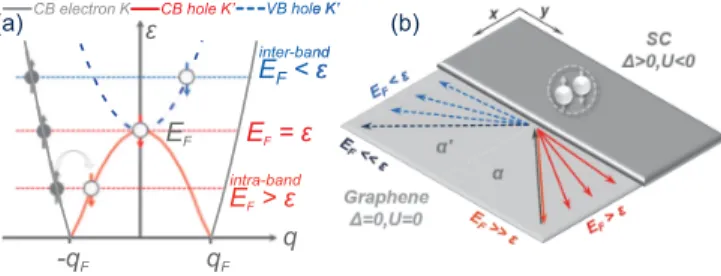 FIG. 1. (a) Excitation spectrum ε(q) for a fixed E F &lt; . With an increasing excitation voltage ε, the momentum in the y direction q of the reflected hole continuously increases from negative to positive values, passing through zero when E F = ε