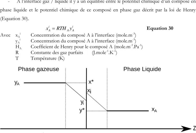 Figure 10. Interface gaz / liquide selon le modèle du double film. 