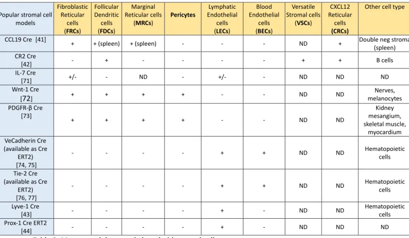 Table 1: Immunological functions of lymph node stromal cells. 