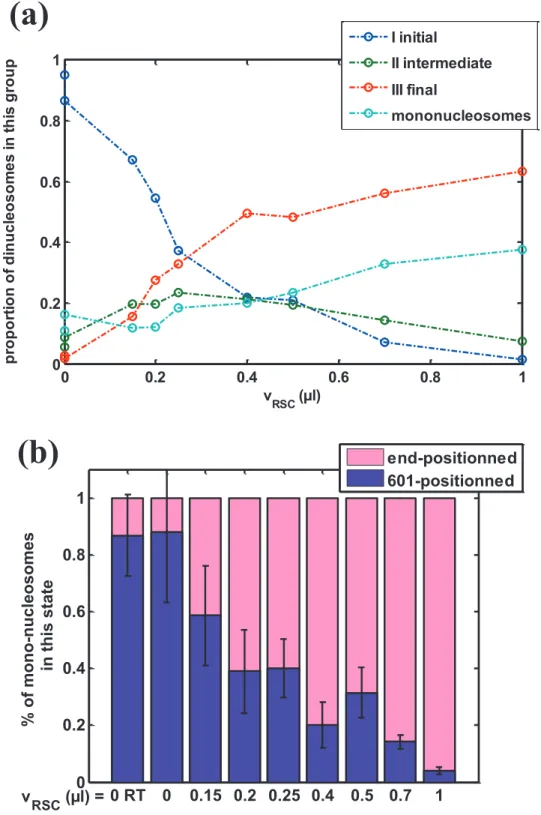Figure S1 : Population distribution of di- and mononucleosomes during RSC action. 