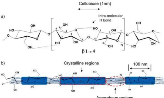 Figure  10.  A  chemical  chain  of  cellulose  composed  of  glucose  units  attached  with  β-1,4  linkages and organization of cellulose in a microfibril (Tayeb et al., 2018)