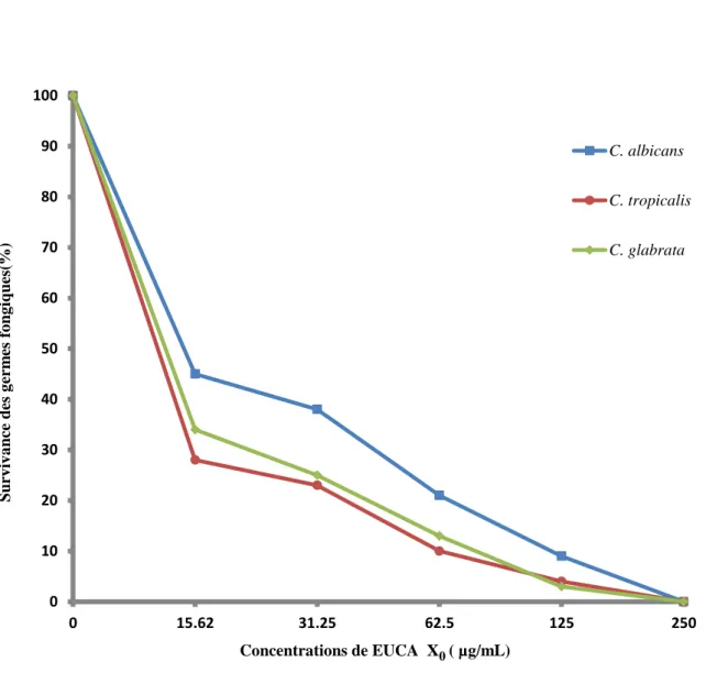 Figure 14 : Effet de l’extrait X 0  de EUCA sur les levures du genre Candida 