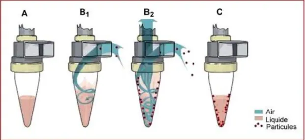 Figure 18 : Principe de fonctionnement d’un collecteur à force cyclonique (Source : Thibaudon et al