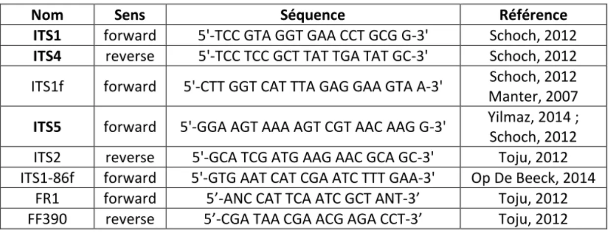 Tableau 8 : liste des amorces, et séquences correspondantes, utilisées dans nos travaux
