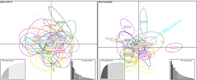 Figure 6: Comparaison des structures de populations obtenues avec DAPC à partir des  profils de restriction de l’ADNm (gauche) et des génotypes en microsatellites (droite)  de 171 isolats de raisins données de A7