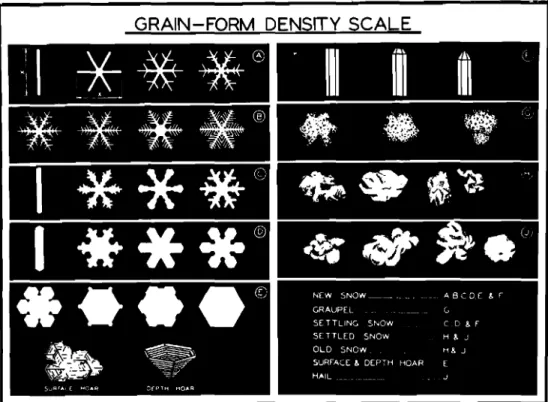 Fig. 7. Grain-form density scale.