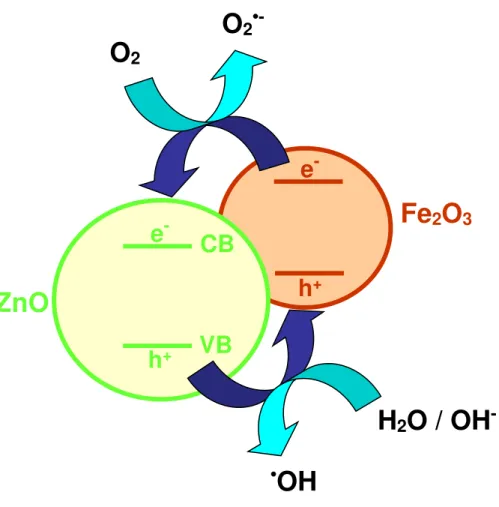 Figure 17: Schematic representation of  • OH and O 2 •-  radicals production from the ZnO/Fe 2 O 3