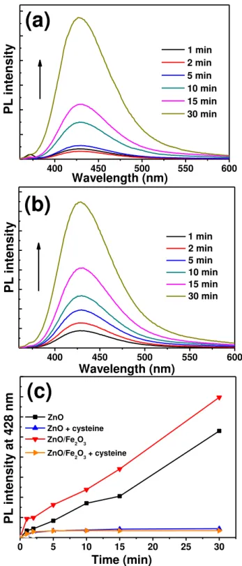 Figure 23: Changes in the fluorescence intensity of 2-OH-DST upon irradiation of DST with  (a) ZnO particles, (b) the ZnO/Fe 2 O 3  heterostructure, and (c) comparison 2-OH-DST 