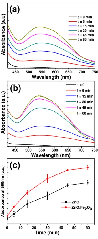 Figure 24: Typical UV-vis absorption spectra obtained during irradiation of NBT with (a)  ZnO particles, (b) the ZnO/Fe 2 O 3  heterostructure, and (c) comparison of superoxide radicals 