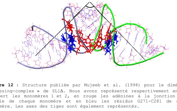 Figure 12 : Structure publiée par Mujeeb et al. (1998) pour le dimère en 